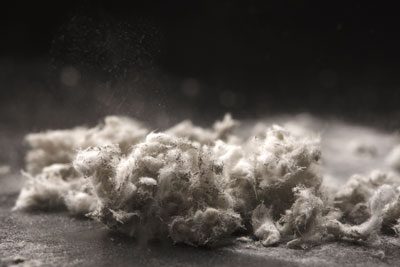 La DGS étudie la possibilité d’abaisser le seuil de concentration en fibres d’amiante